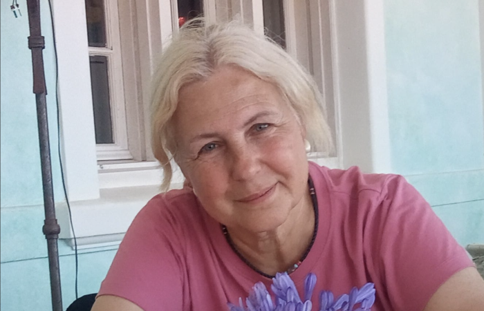 Ponente Puente Ruta 4