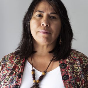 Ponente Puente Ruta 3