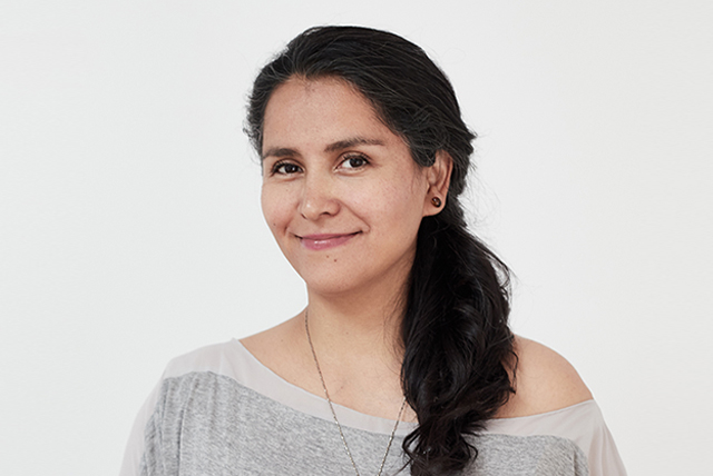 Ponente Puente Ruta 4