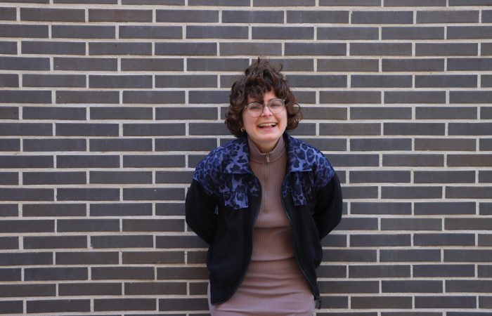 Ponente Puente Ruta 4